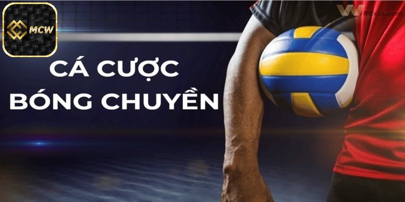 Đôi nét về cá cược bóng chuyền