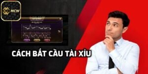 Tìm hiểu cách bắt cầu tài xỉu